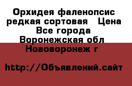 Орхидея фаленопсис редкая сортовая › Цена ­ 800 - Все города  »    . Воронежская обл.,Нововоронеж г.